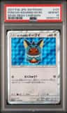 Poncho-Wearing Eevee