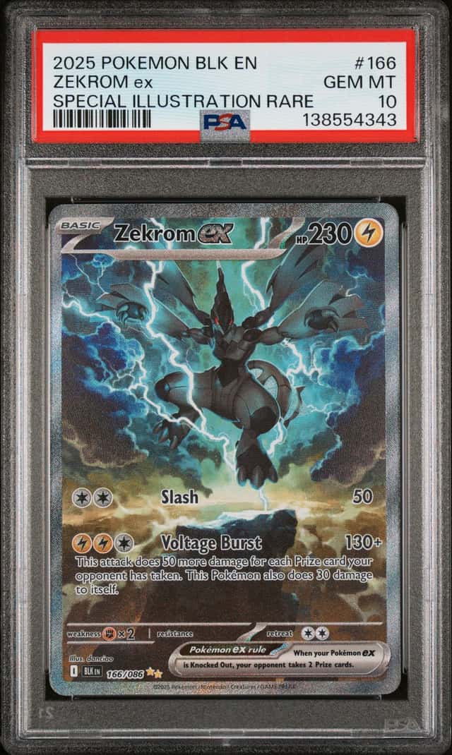 ZEKROM ex