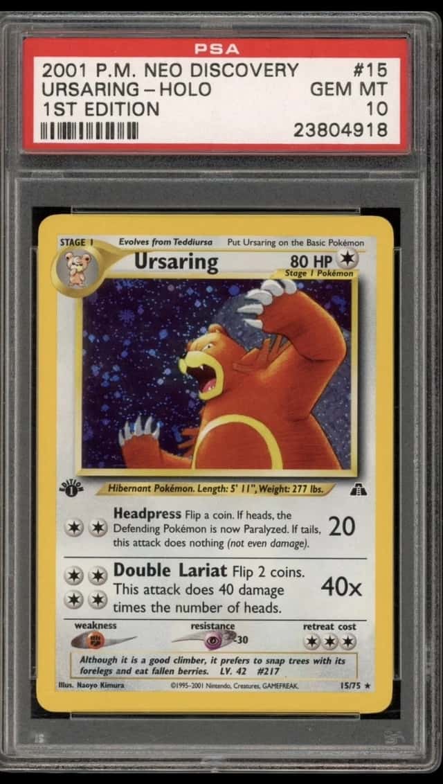 Ursaring