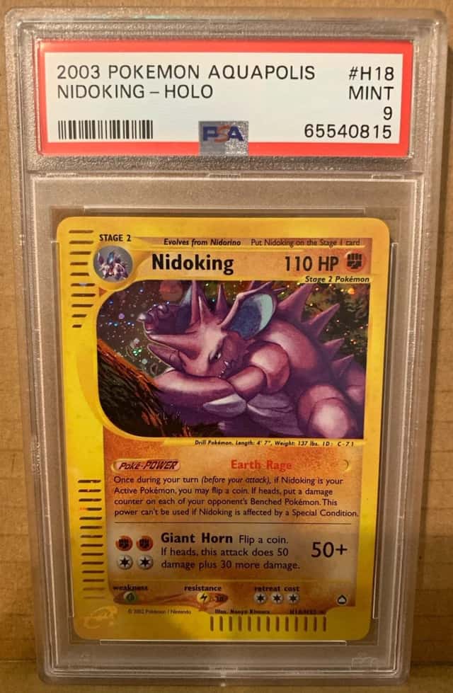 Nidoking