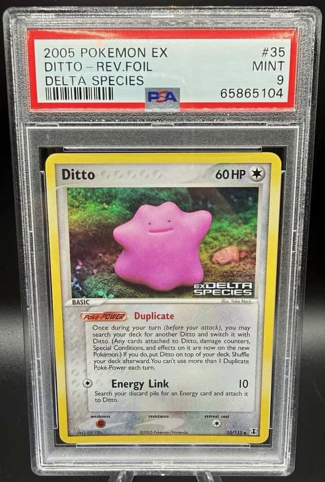 Ditto