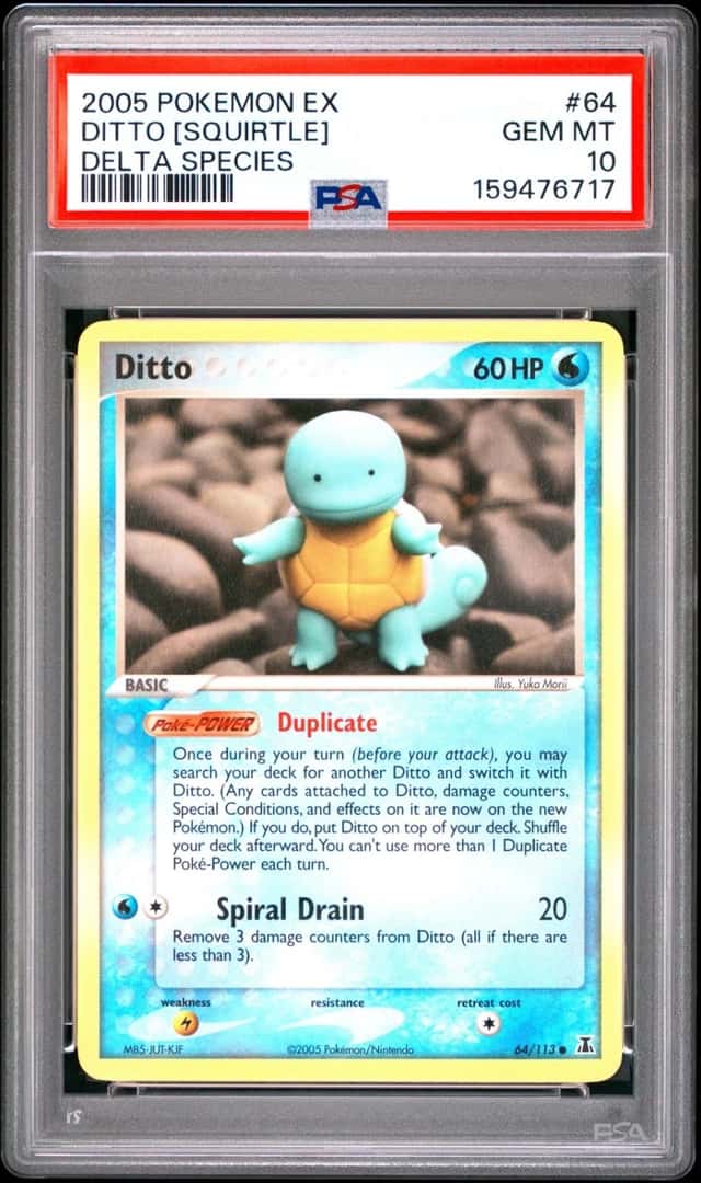 Ditto [Squirtle]