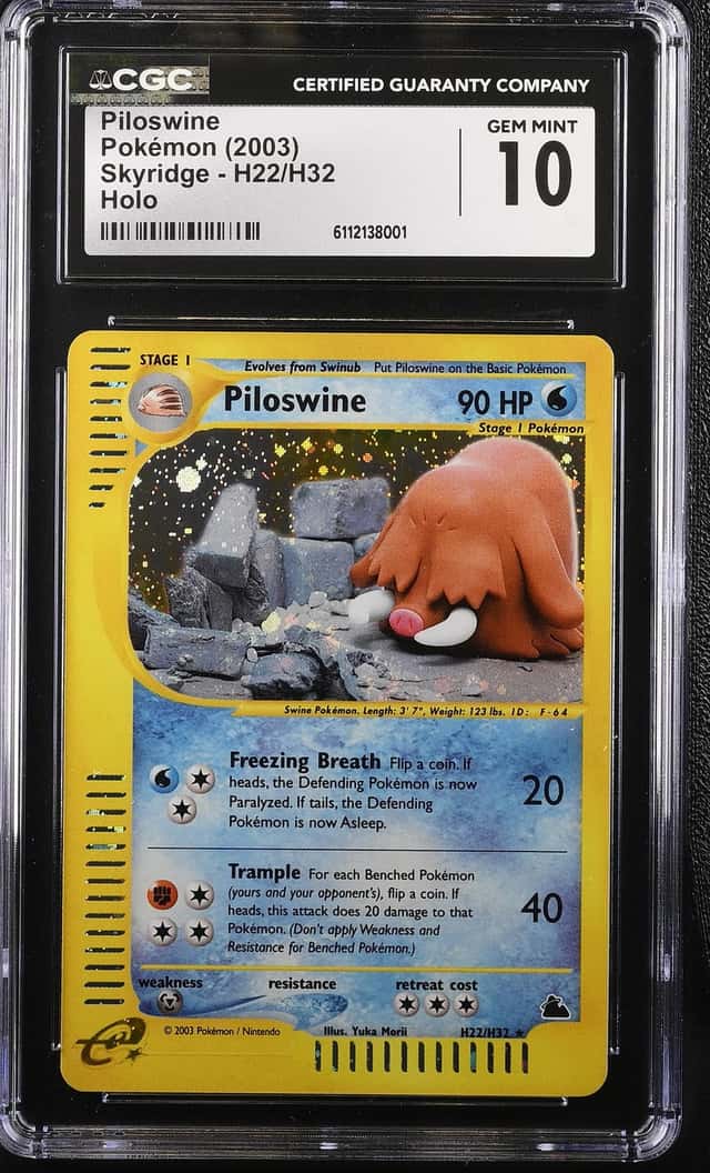 Piloswine