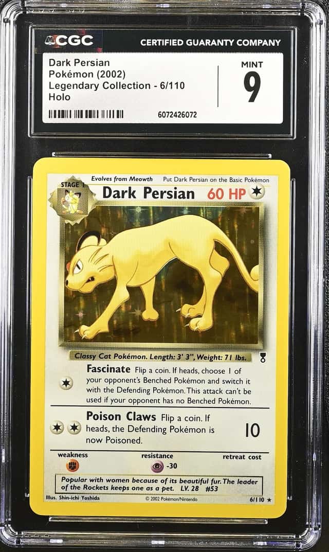 Dark Persian