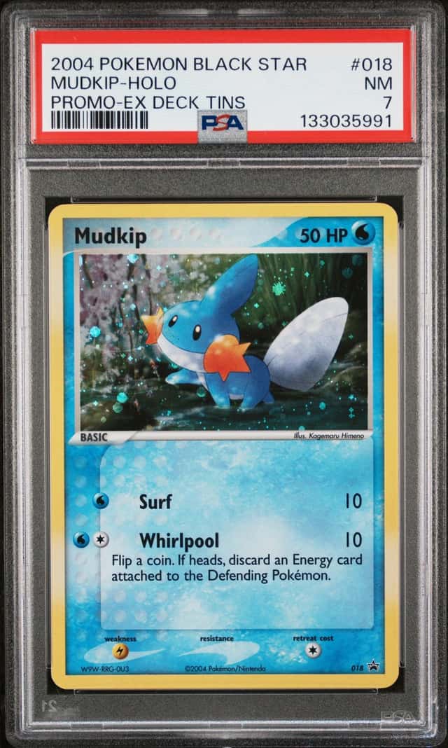 Mudkip