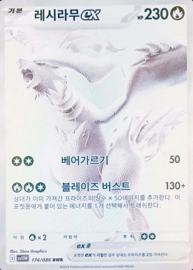 Base / no variant