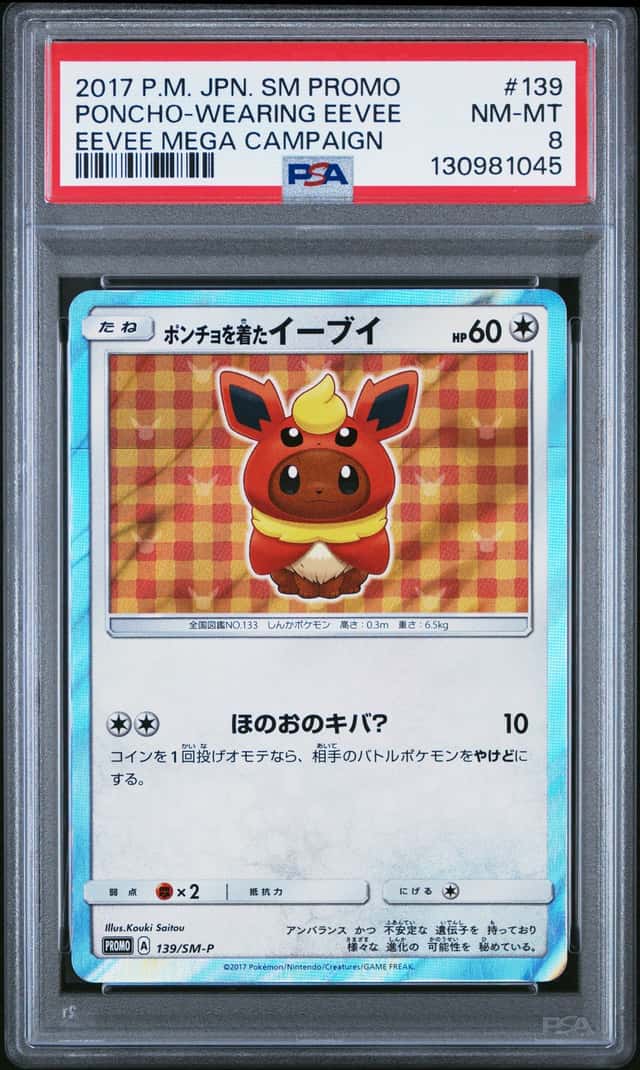 Poncho-Wearing Eevee