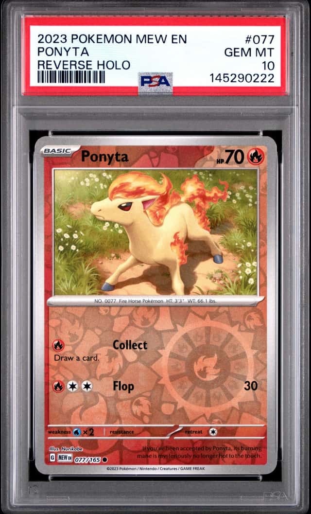 Ponyta