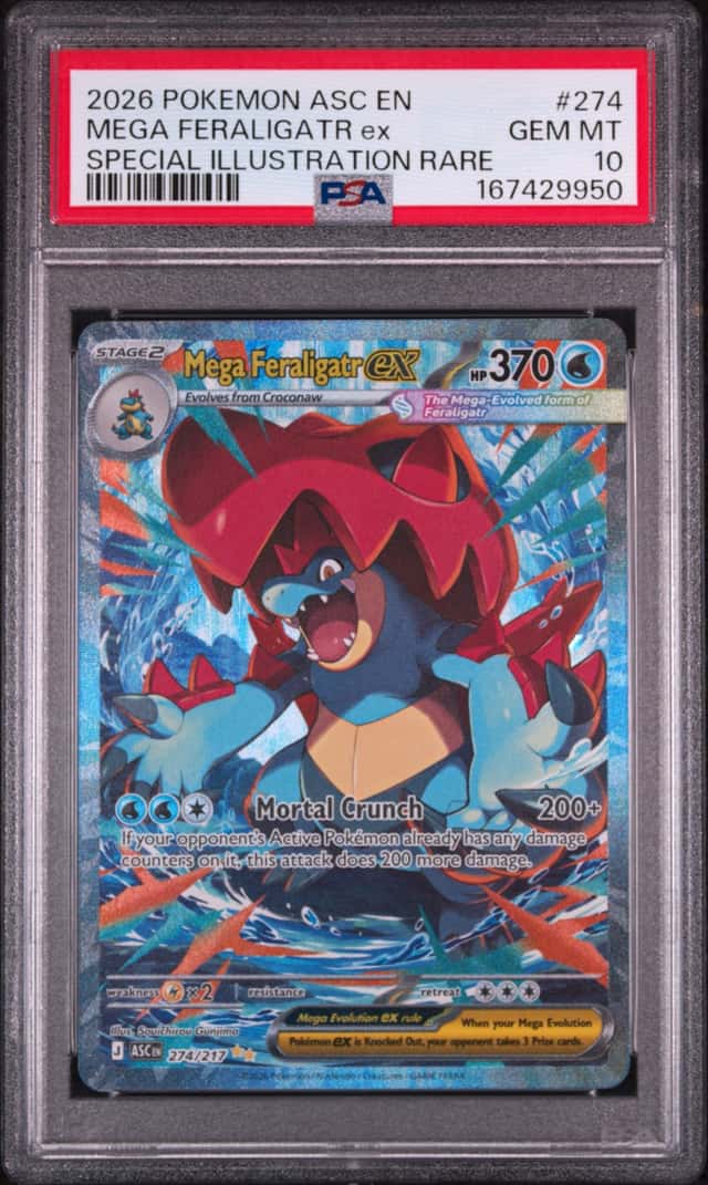 MEGA FERALIGATR ex