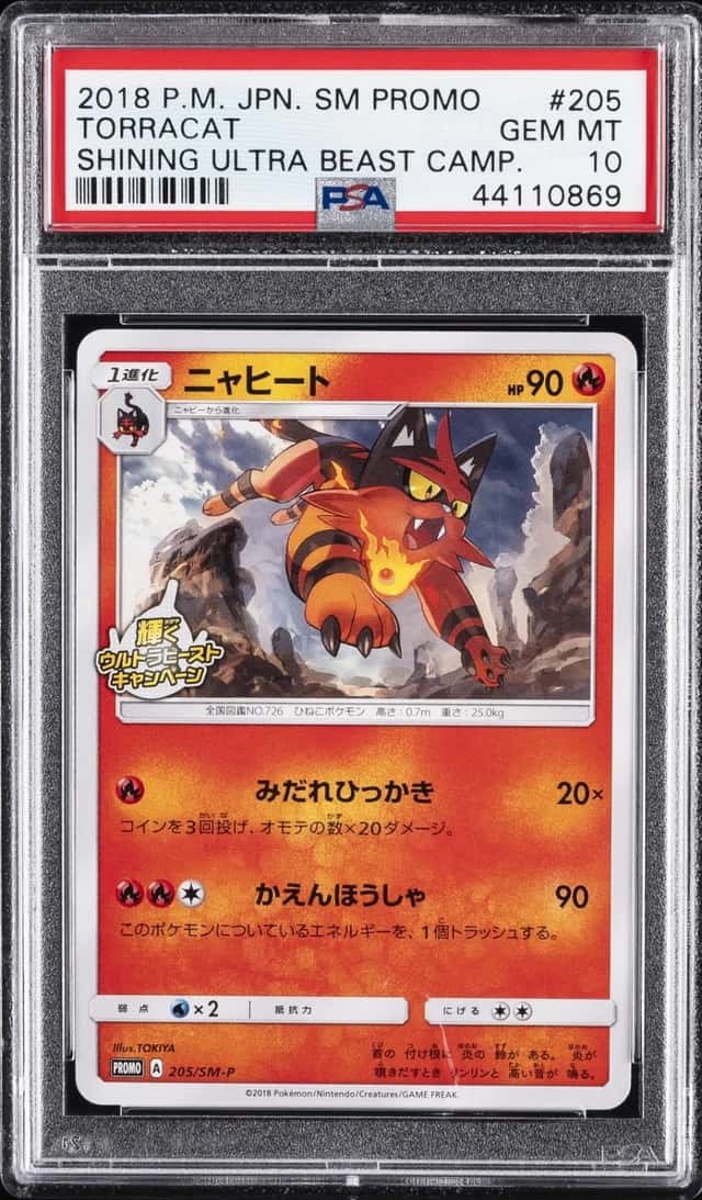 Torracat