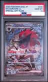 N'S Zoroark Ex