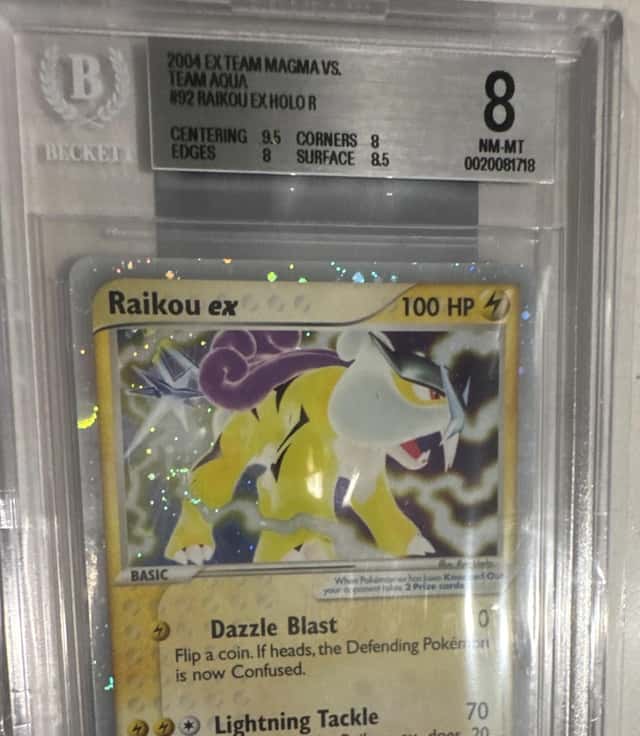 Raikou EX