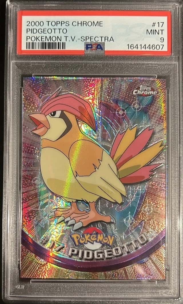 Pidgeotto