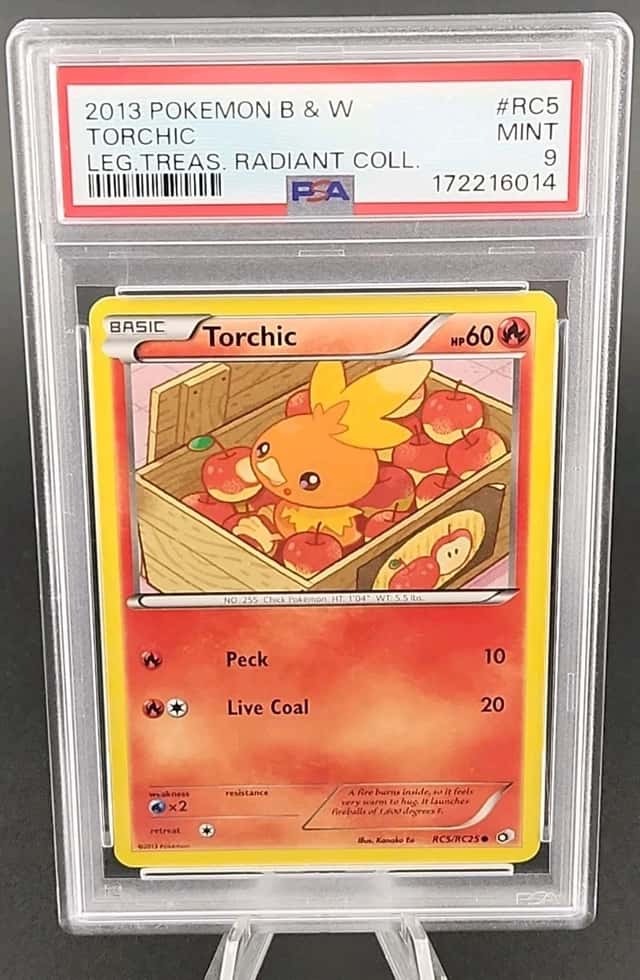 Torchic