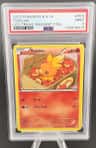 Torchic