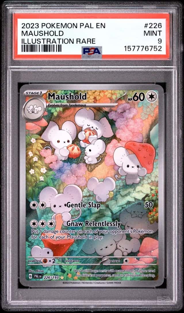 Maushold