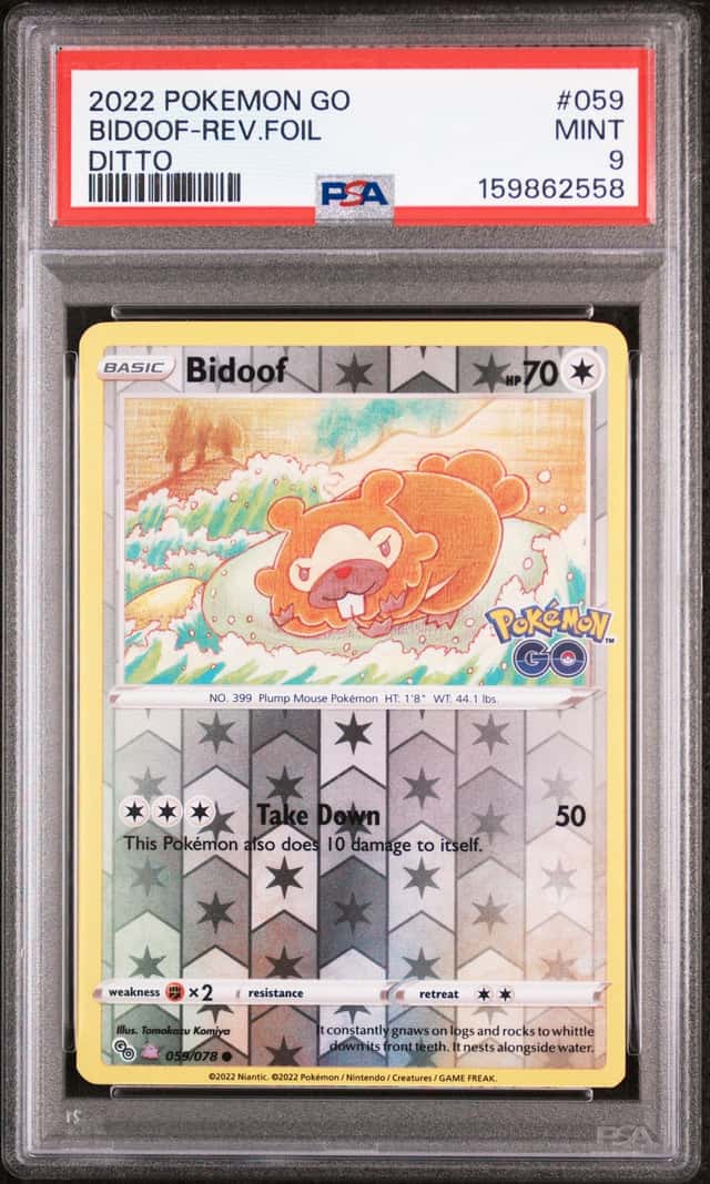 Bidoof