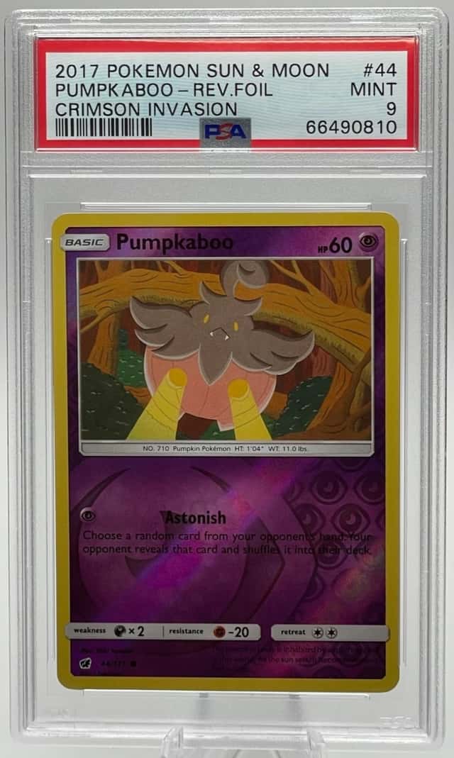 PUMPKABOO