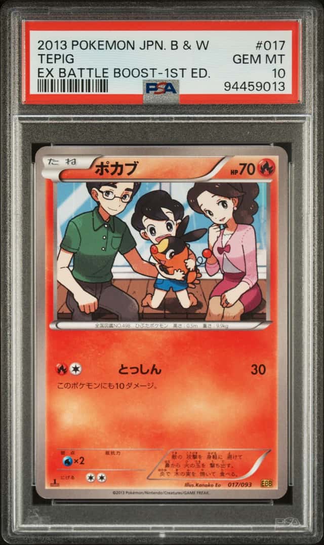 Tepig