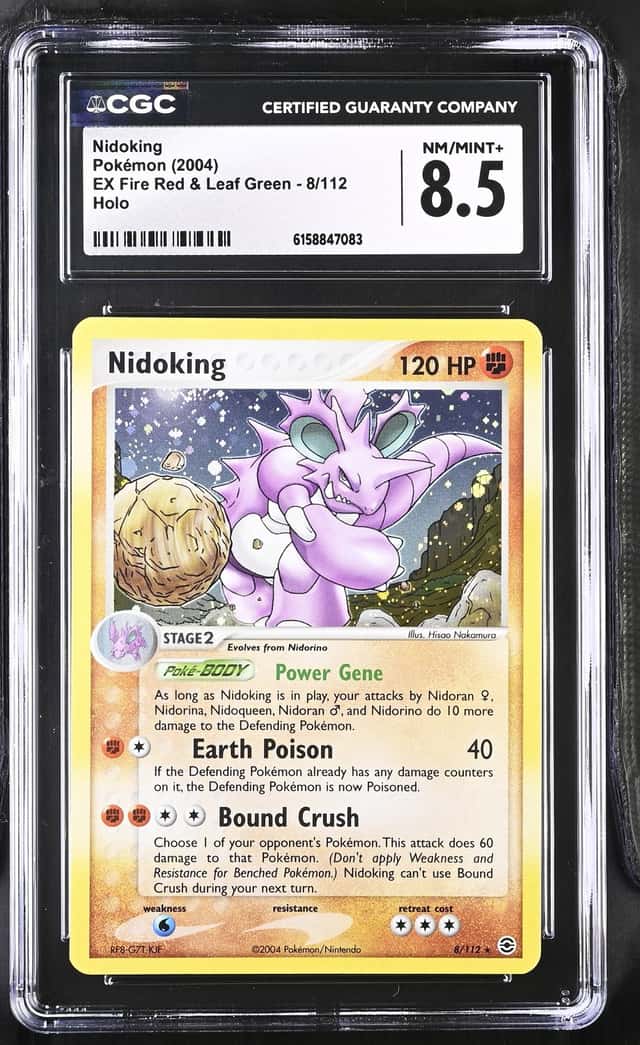 Nidoking