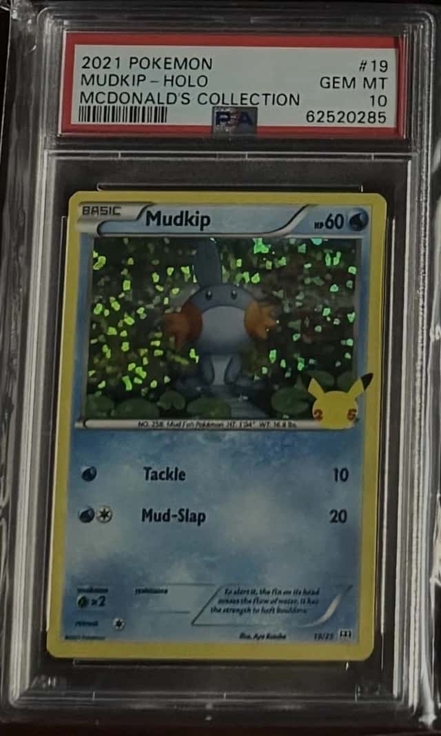Mudkip