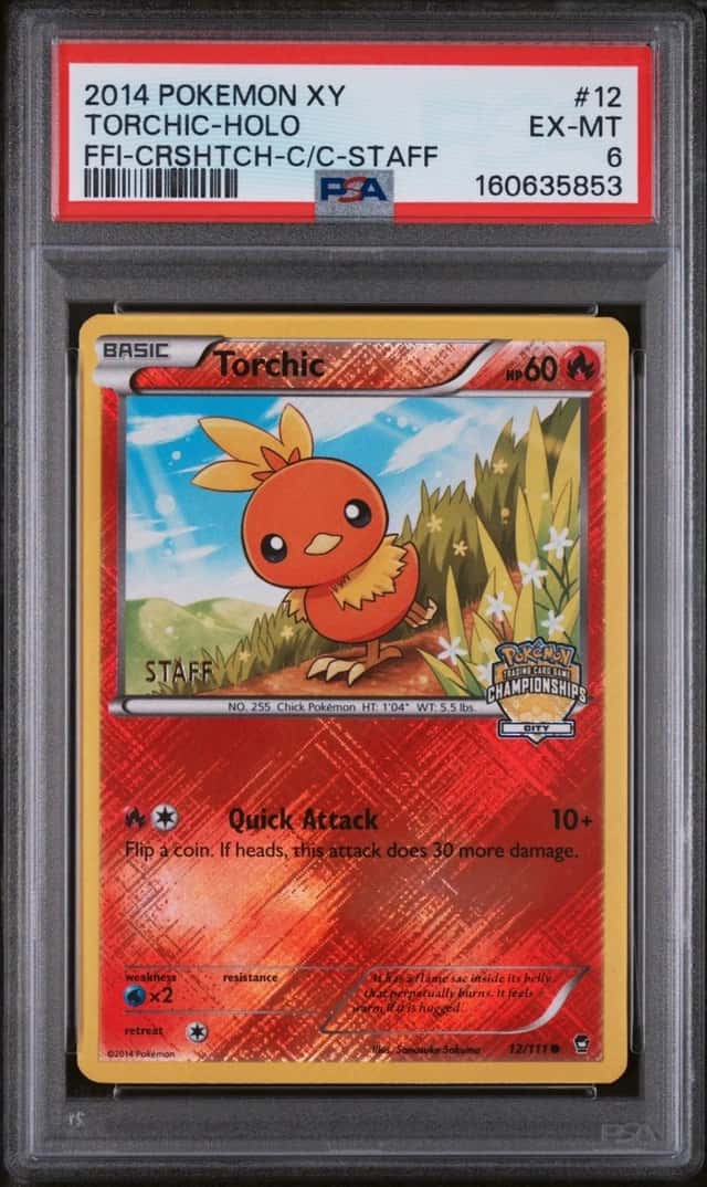 Torchic