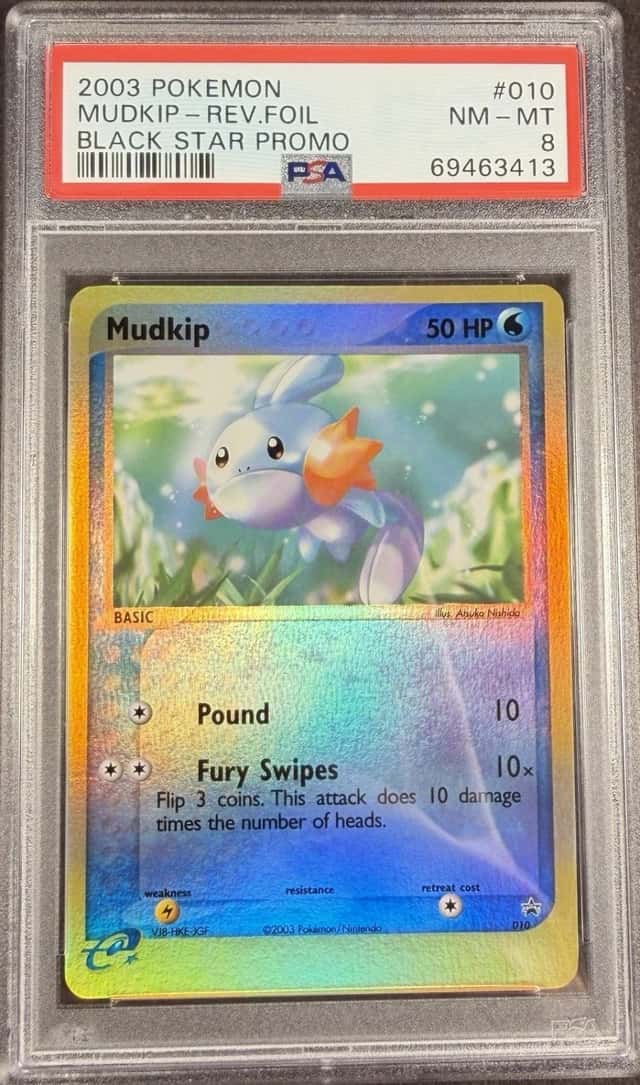 Mudkip