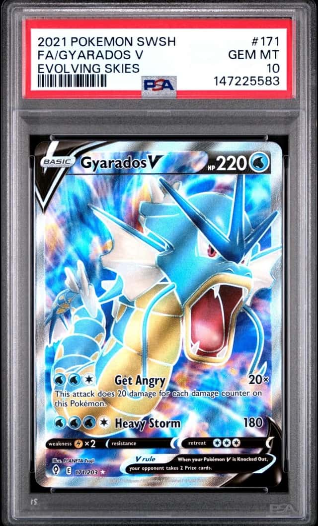Gyarados V