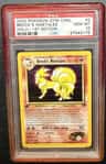 Brock'S Ninetales
