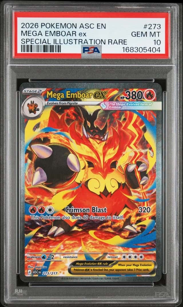MEGA EMBOAR ex