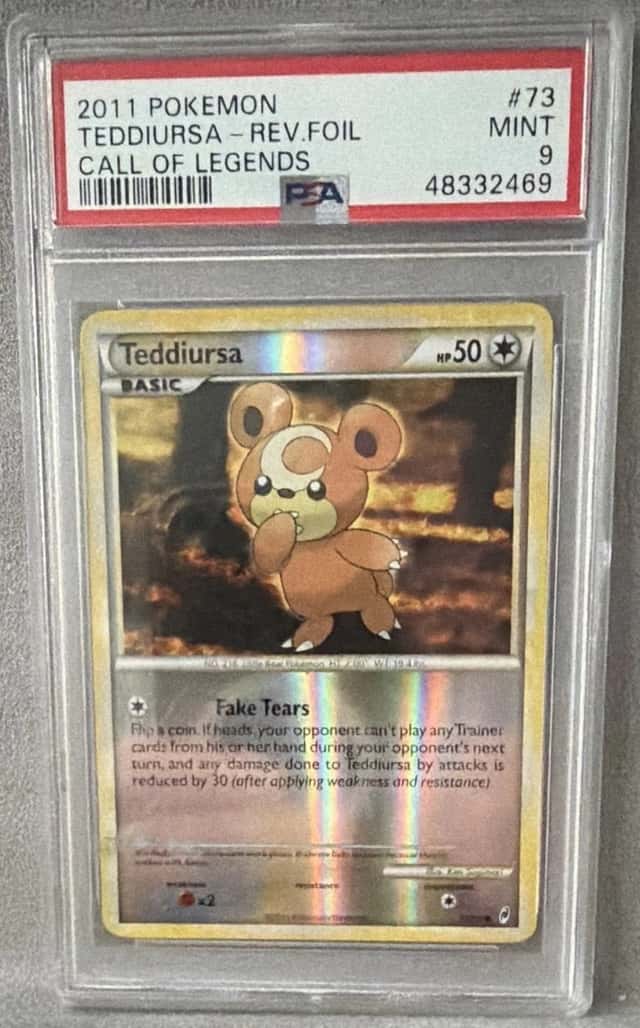TEDDIURSA