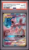 Mewtwo & Mew Gx