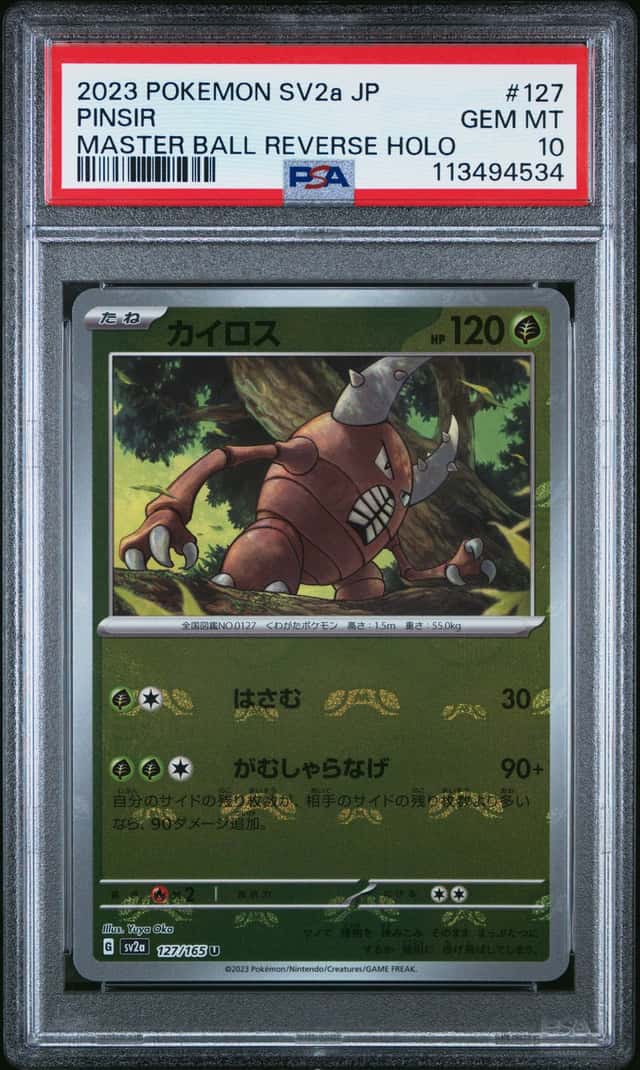 Pinsir