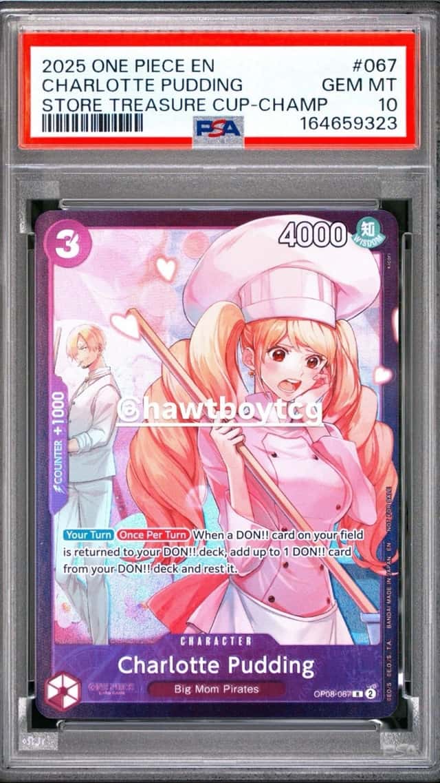 Charlotte Pudding