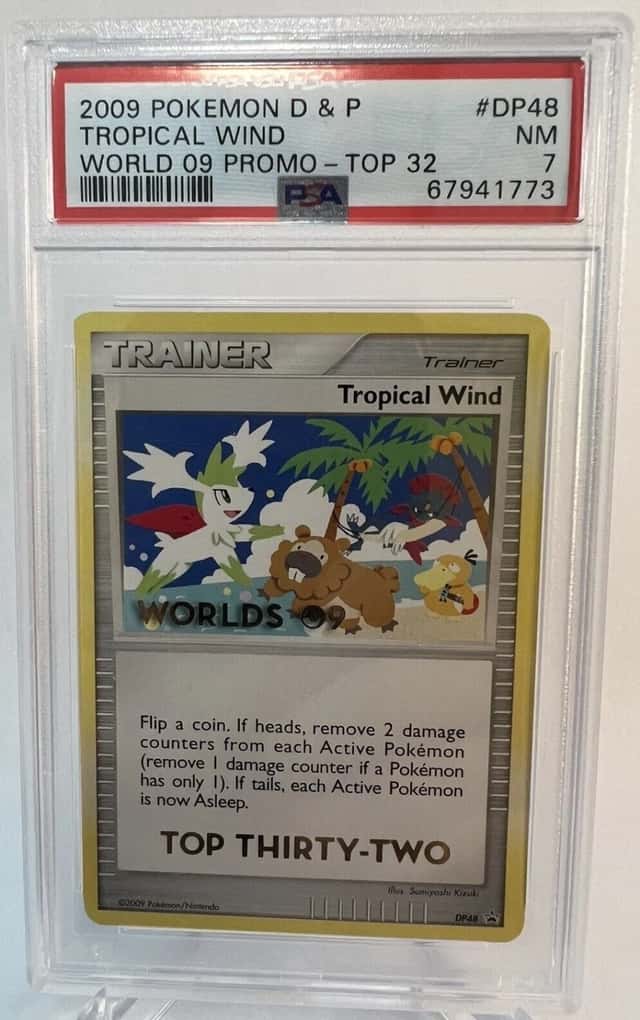 Tropical Wind