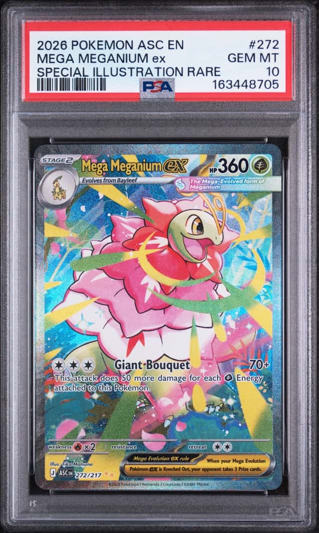 MEGA MEGANIUM ex