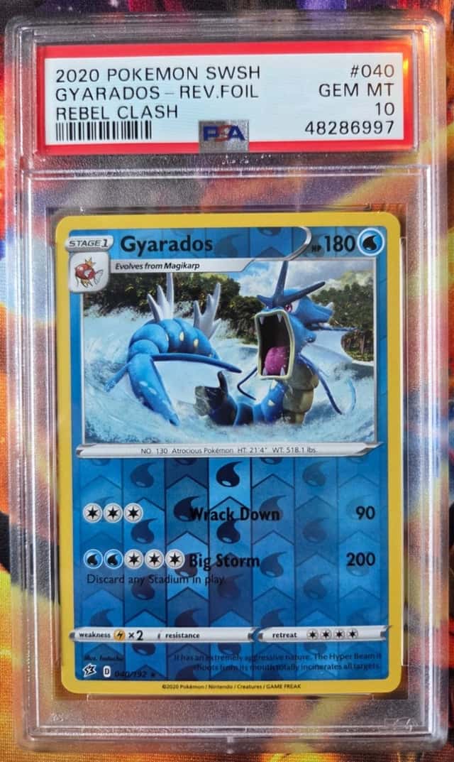 Gyarados