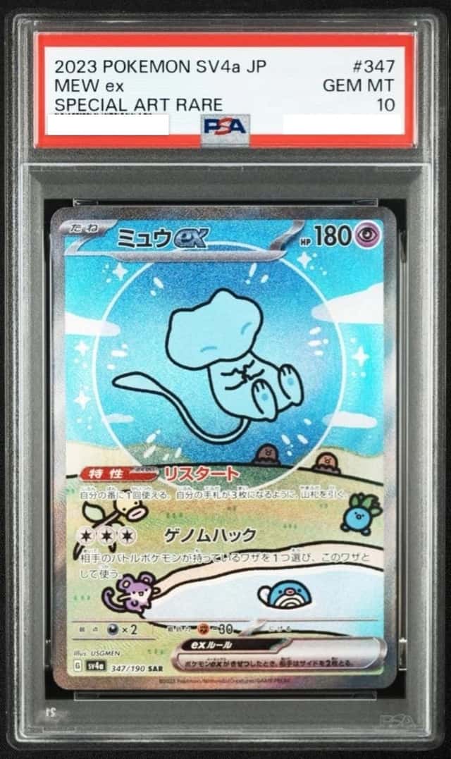 MEW ex