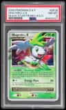 Shaymin Lv X