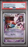 Mewtwo Lv X