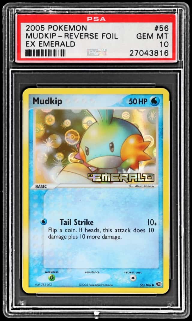 Mudkip