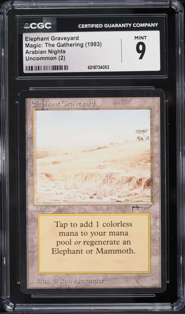 Elephant Graveyard