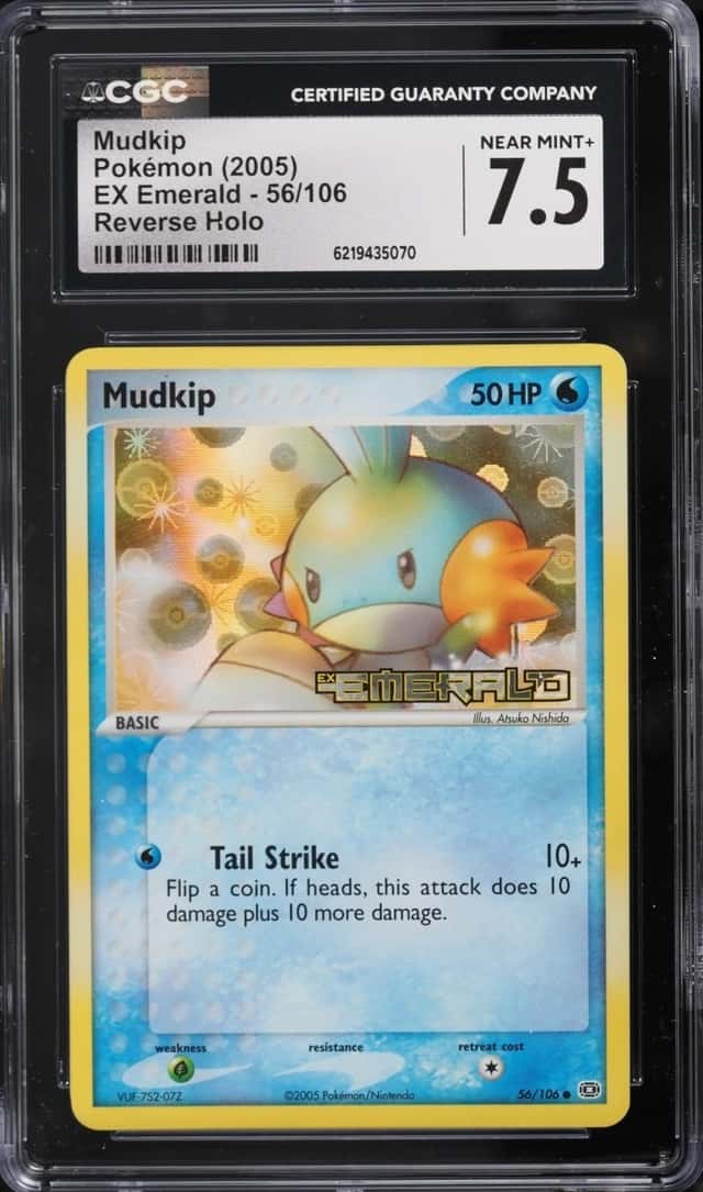 Mudkip