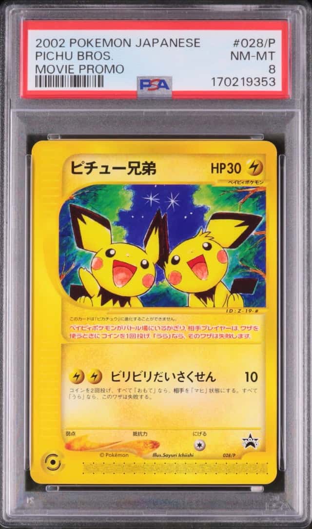 Pichu Bros