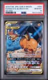 Raichu & Alolan Raichu Gx