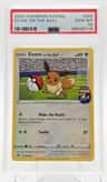 Eevee On The Ball
