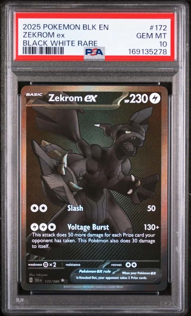 ZEKROM ex
