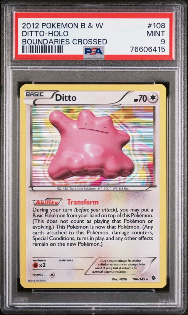 Ditto