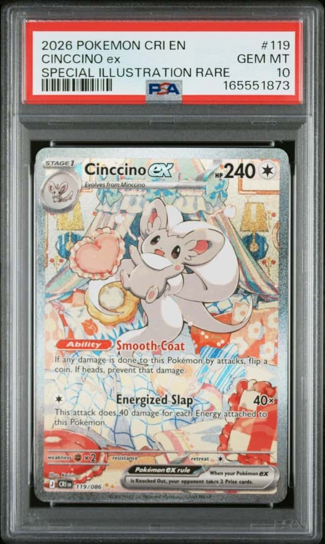 CINCCINO ex