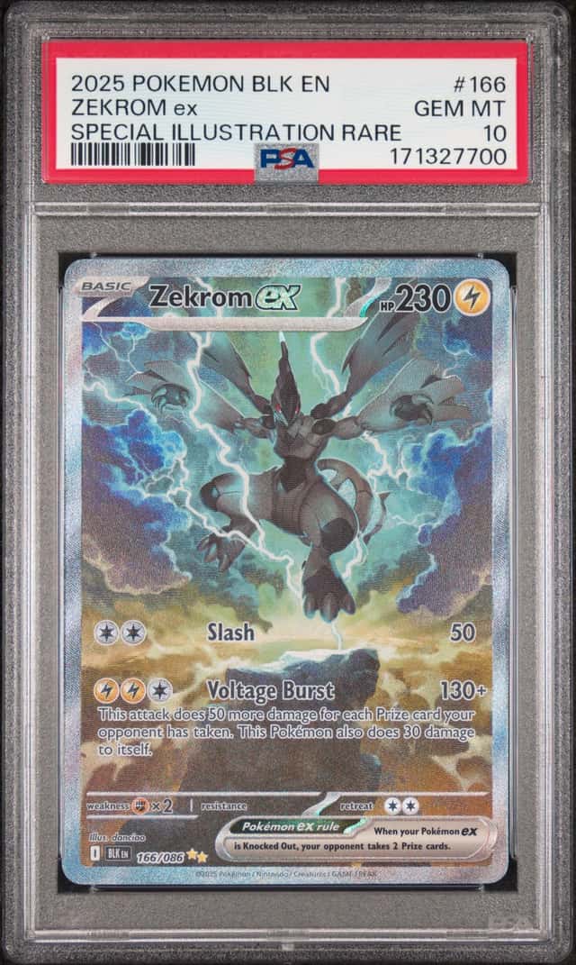 ZEKROM ex